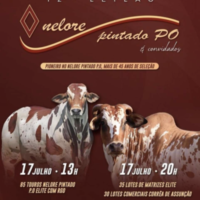 12º LEILÃO NELORE PINTADO - EDIÇÃO VIRTUAL (ELITE)