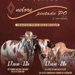 Banner - 12º LEILÃO NELORE PINTADO - EDIÇÃO VIRTUAL (ELITE)