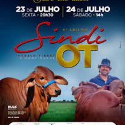 4° LEILÃO SINDI OT - 1° ETAPA