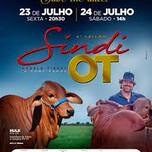 Banner - 4° LEILÃO SINDI OT - 1° ETAPA