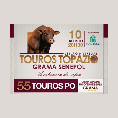 TOUROS SENEPOL TOPÁZIO GRAMA: “A CABECEIRA DA SAFRA”