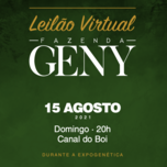 Banner - LEILÃO VIRTUAL FAZENDA GENY