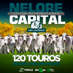 Banner - Leilão Reprodutores Nelore Capital