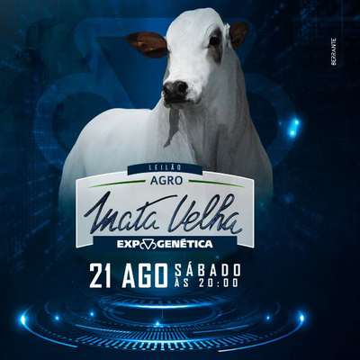 Leilão Agro Mata Velha Expogenética
