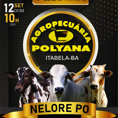 3º Leilão Virtual Agropecuária Polyana