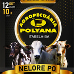 Banner - 3º Leilão Virtual Agropecuária Polyana