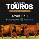 Banner - LEILÃO DE TOUROS SENEPOL DA BARRA