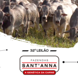 Banner - SHOPPING NELORE SANT'ANNA