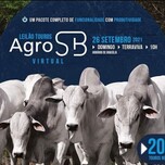 Banner - Leilão Virtual Produção e Touros AgroSB