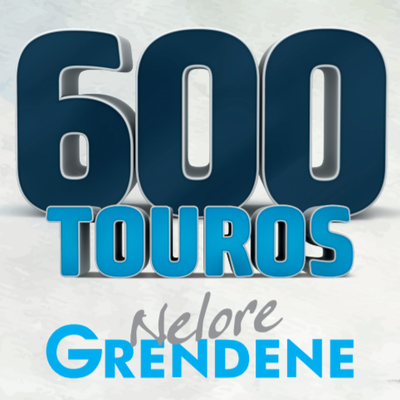 LEILÃO VIRTUAL 600 TOUROS NELORE GRENDENE