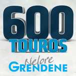 Banner - LEILÃO VIRTUAL 600 TOUROS NELORE GRENDENE