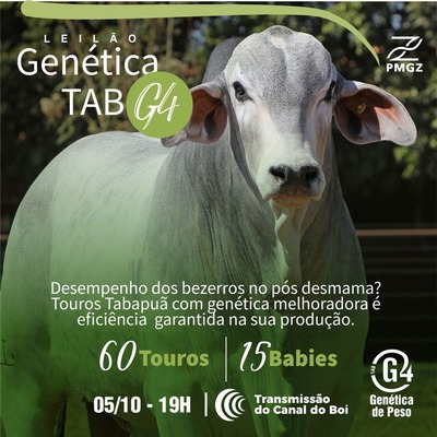 LEILÃO GENÉTICA TAB G4