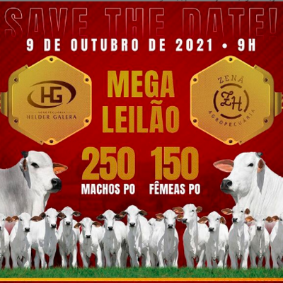 Leilão Agropecuária Helder Galera & Nelore Zenã