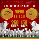 Banner - Leilão Agropecuária Helder Galera & Nelore Zenã
