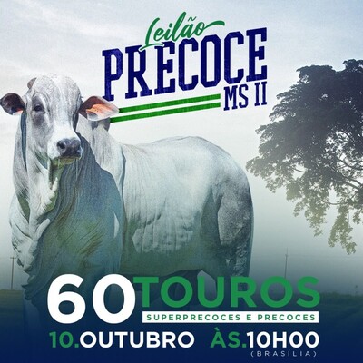 Leilão Precoce MS II - Nelore Arizona e São Judas Tadeu
