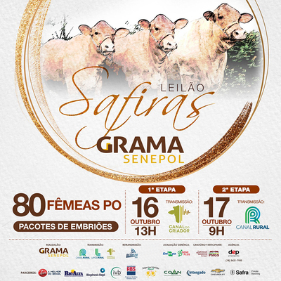 Leilão Safiras Grama Senepol