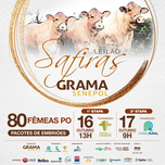 Banner - Leilão Safiras Grama Senepol