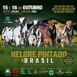 Banner - Leilão Nelore Pintado Brasil & Convidados