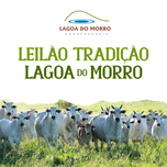 Banner - Leilão Tradição Lagoa do Morro