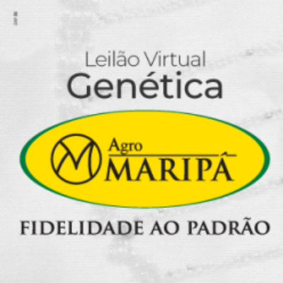 LEILÃO VIRTUAL GENÉTICA AGRO MARIPÁ