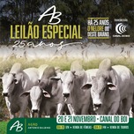 Banner - LEILÃO ESPECIAL 25 ANOS AGRO ANTÔNIO BALBINO - 1ª ETAPA