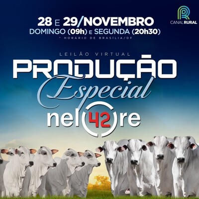 LEILÃO VIRTUAL PRODUÇÃO ESPECIAL NELORE 42 - TOUROS