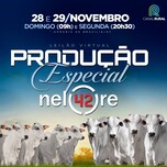 Banner - LEILÃO VIRTUAL PRODUÇÃO ESPECIAL NELORE 42 - TOUROS
