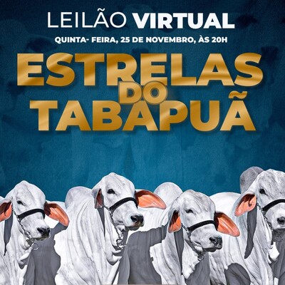 LEILÃO VIRTUAL ESTRELAS DO TABAPUÃ