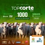 Banner - 21º TOP CORTE BAHIA