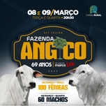 Banner - 27° LEILÃO FAZENDA ANGICO - ETAPA REPRODUTORES