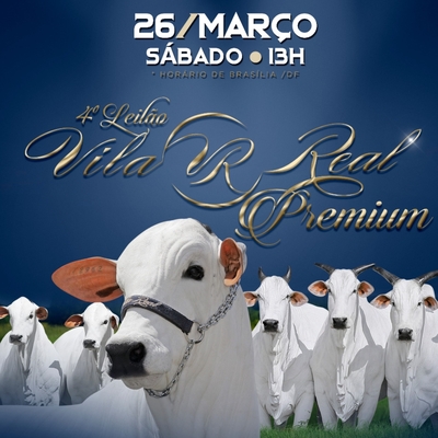 4° LEILÃO VILA REAL PREMIUM