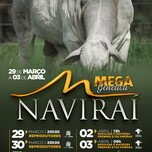 Banner - MEGA GENÉTICA NAVIRAÍ - 30 DE MARÇO
