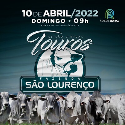 LEILÃO VIRTUAL TOUROS FAZENDA SÃO LOURENÇO 2022