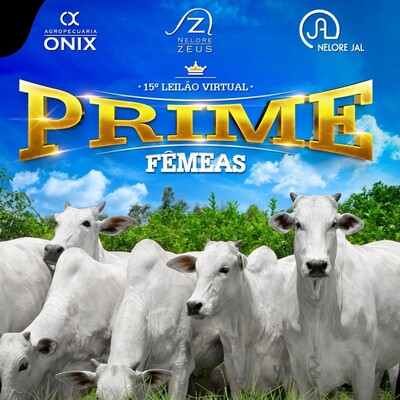 15° LEILÃO VIRTUAL PRIME - FÊMEAS