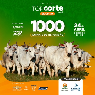 23º TOP CORTE BAHIA