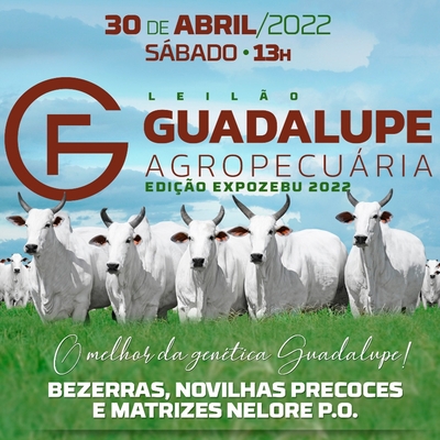 LEILÃO GUADALUPE AGROPECUÁRIA - EDIÇÃO EXPOZEBU 2022