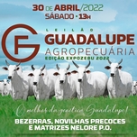 Banner - LEILÃO GUADALUPE AGROPECUÁRIA - EDIÇÃO EXPOZEBU 2022