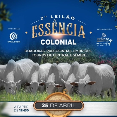 2º LEILÃO ESSÊNCIA COLONIAL