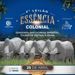 Banner - 2º LEILÃO ESSÊNCIA COLONIAL