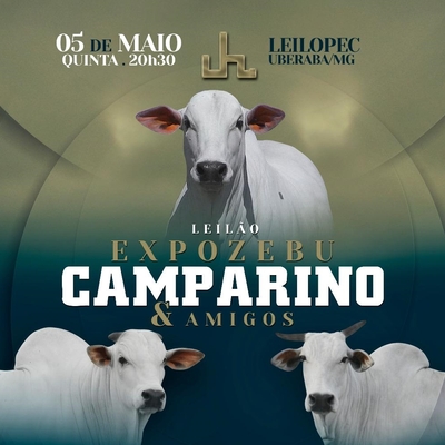 LEILÃO EXPOZEBU CAMPARINO & AMIGOS