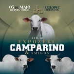 Banner - LEILÃO EXPOZEBU CAMPARINO & AMIGOS