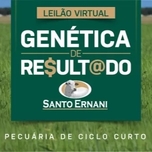 Banner - LEILÃO VIRTUAL GENÉTICA DE RESULTADO SANTO ERNANI