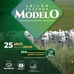 Banner - LEILÃO FAZENDA MODELO