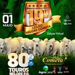Banner - 19º LEILÃO VIRTUAL GRUPO COMETA 