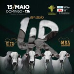 Banner - 28° LEILÃO 4R - NELORE KITO & NELORE MRA