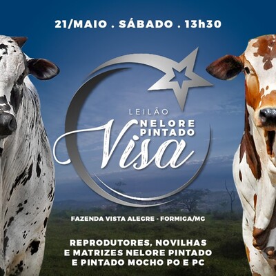 LEILÃO NELORE PINTADO VISA