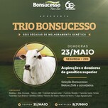 Banner - LEILÃO TRIO BONSUCESSO - DOADORAS