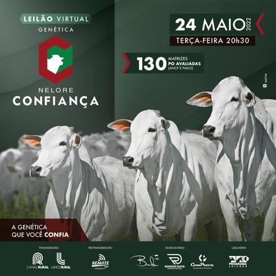 LEILÃO VIRTUAL GENÉTICA NELORE CONFIANÇA