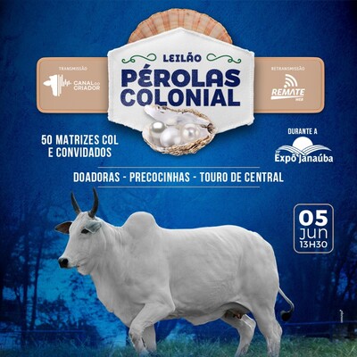 LEILÃO PÉROLAS COLONIAL