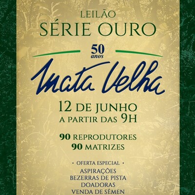 LEILÃO SÉRIE OURO MATA VELHA
